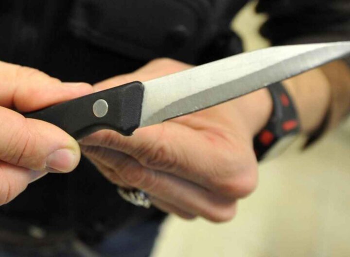 Un coltello da cucina