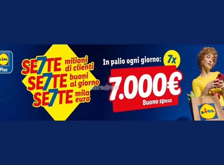 lidl concorco buono spesa 7mila euro