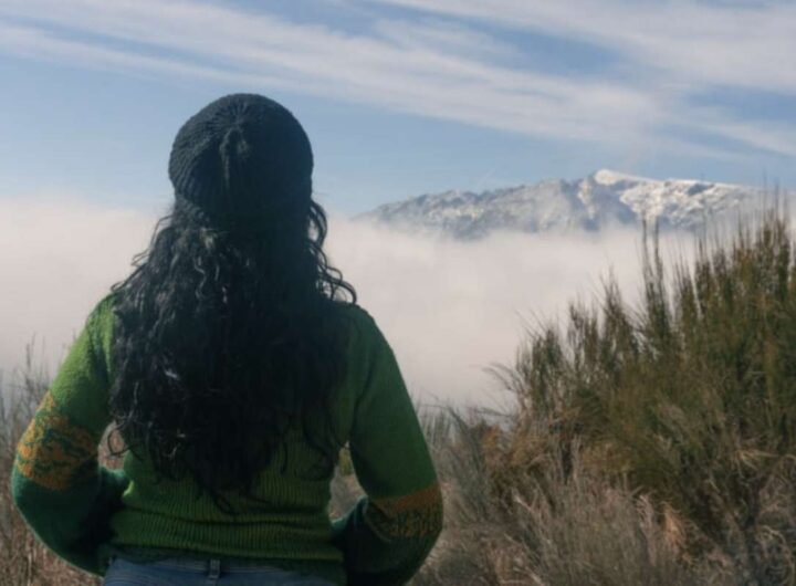 Questo borgo medievale, che sorge a circa 200 metri di altitudine tra le dolci colline dell’Emilia Romagna, non solo affascina