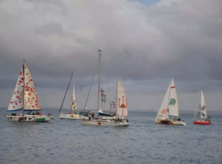 La Flotilla