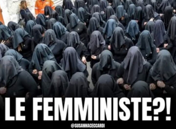 Susanna Ceccardi post femministe