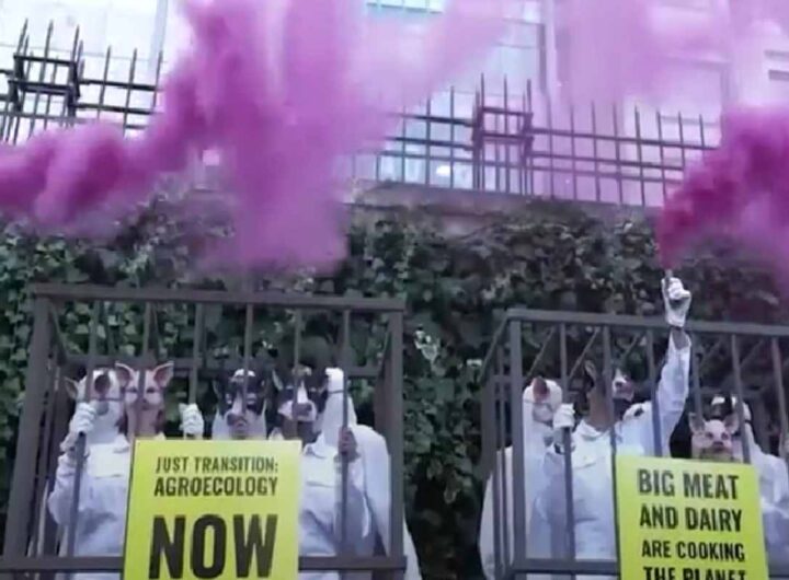 La protesta degli attivisti di Greenpeace