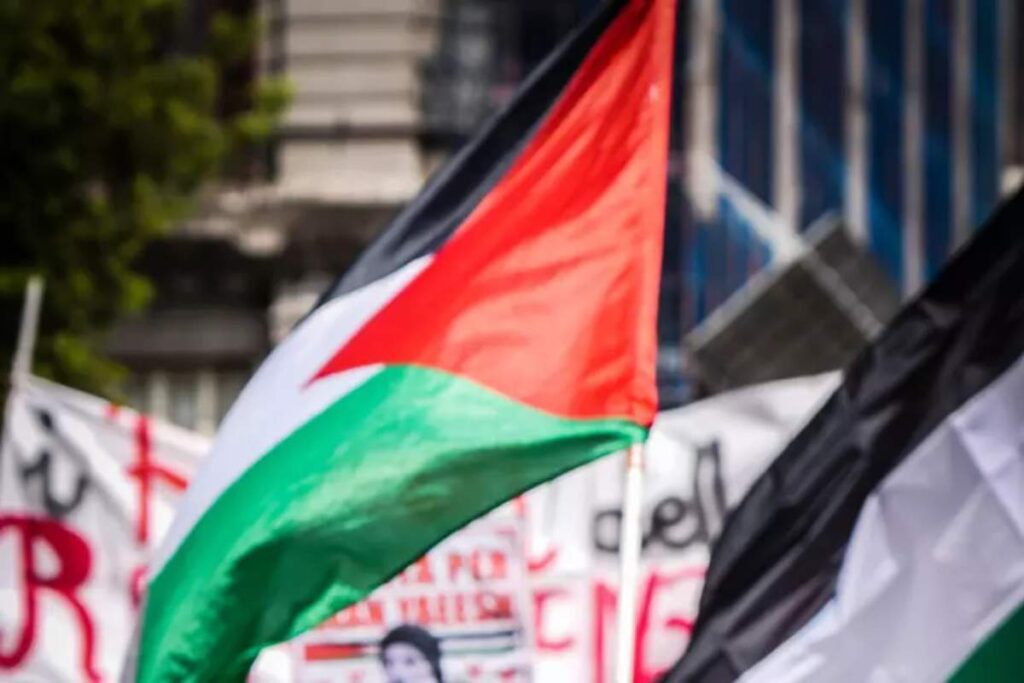 manifestazione attivisti palestina