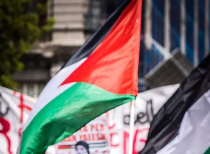 manifestazione attivisti palestina