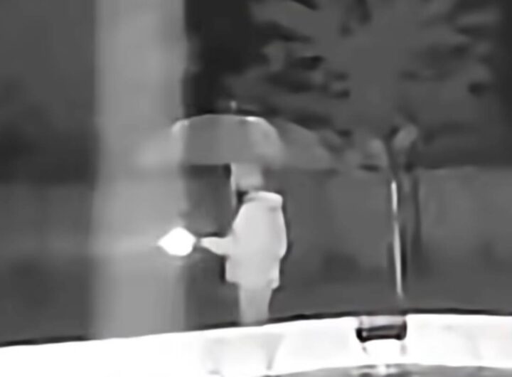 In giardino con l'ombrello durante un temporale