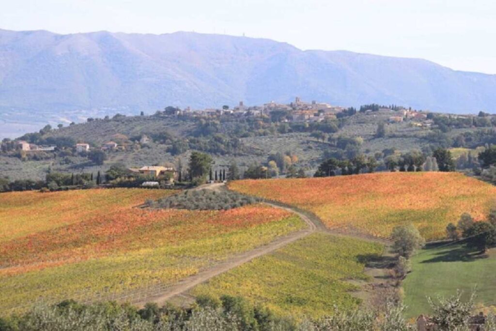 scorcio delle colline dell'Umbria