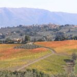 scorcio delle colline dell'Umbria