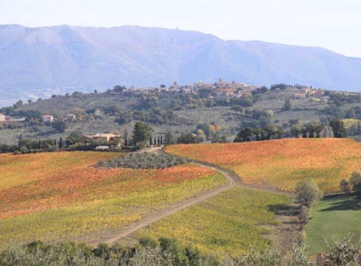 scorcio delle colline dell'Umbria