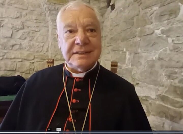 cardinale gerhard mueller