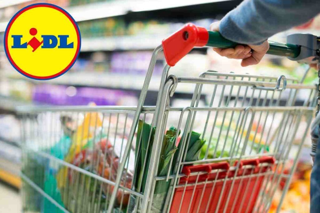 Lidl: fai felice i tuoi figli con le scarpe più amate dai bambini.