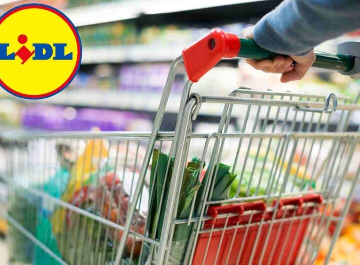 Lidl: fai felice i tuoi figli con le scarpe più amate dai bambini.