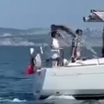 orche attaccano barca a vela