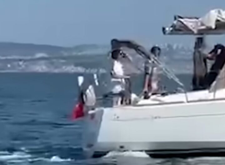 orche attaccano barca a vela