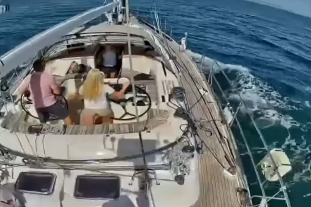 orche attaccano barca a vela