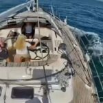 orche attaccano barca a vela