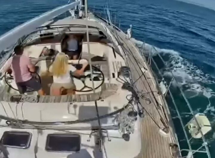 orche attaccano barca a vela