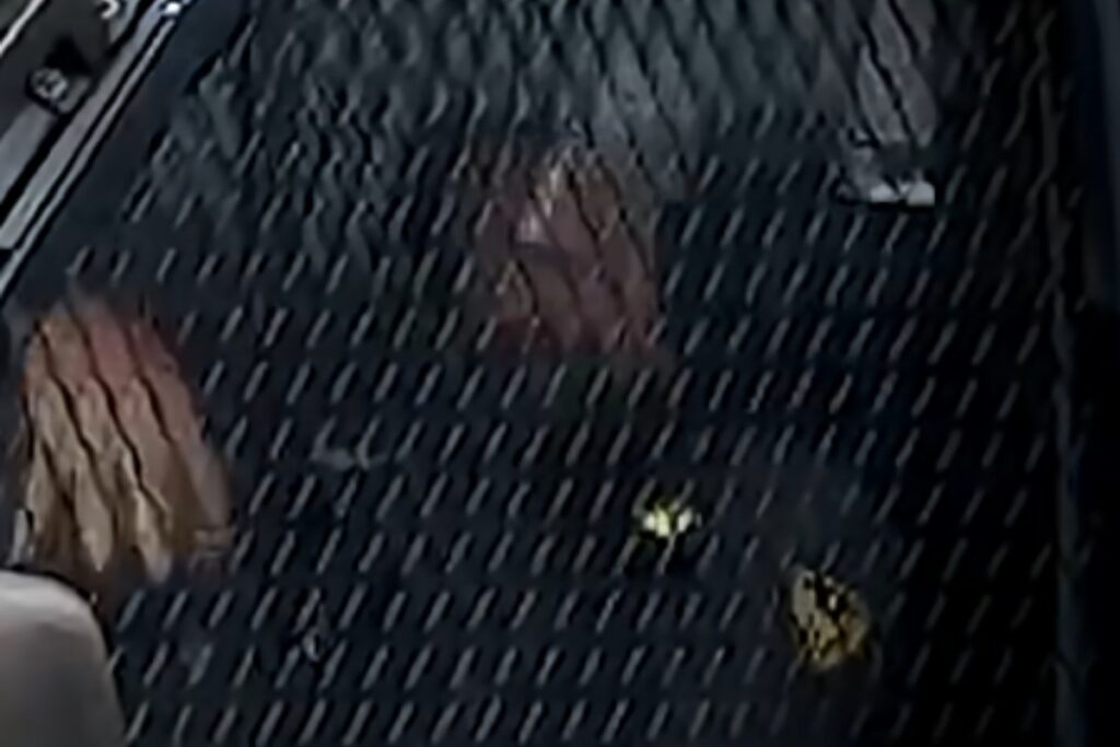 poliziotto gesto sessista