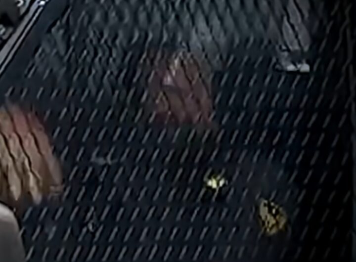 poliziotto gesto sessista