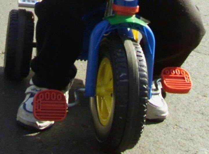 triciclo bimbi
