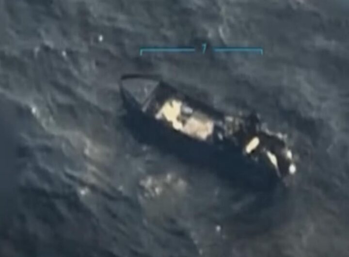 Imbarcazione proveniente dal Venezuela