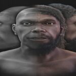 ricostruzione volti ominidi