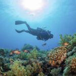 La scoperta è avvenuta grazie alle ricerche condotte a bordo della nave Gaia Blu del CNR, il cui team ha esplorato il suggestivo e poco conosciuto Canyon Dohrn.