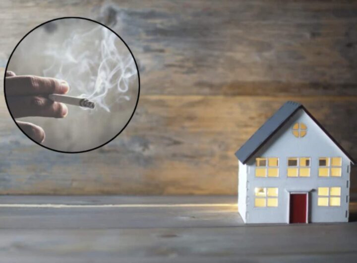 Una delle strategie più semplici ma spesso sottovalutate per combattere l’odore di fumo è l’arieggiamento regolare