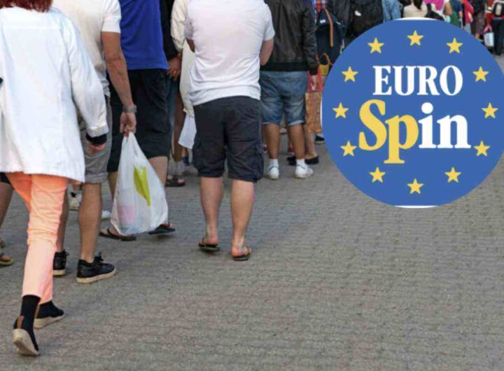 In questa stagione, il noto discount ha lanciato una promozione particolarmente interessante che mette a confronto diretto la sua proposta