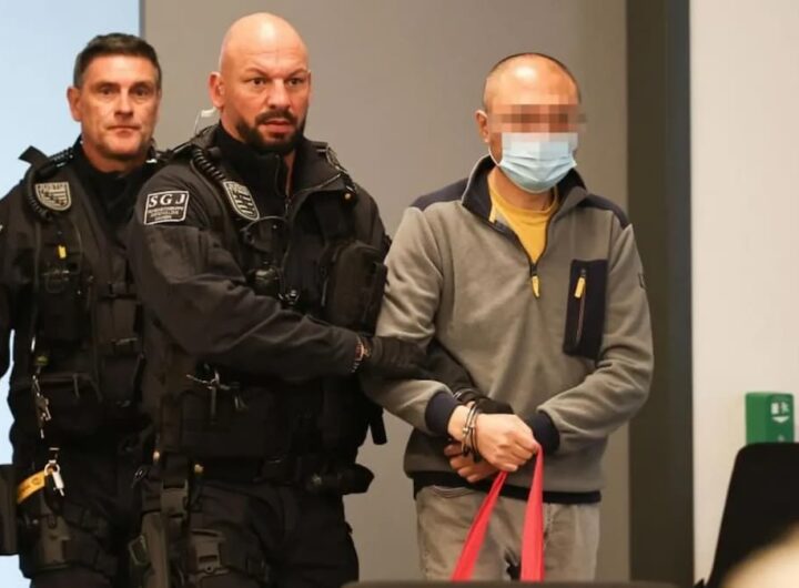 Condannato per spionaggio il cinese collaboratore di un leader del partito di estrema destra tedesco AfD