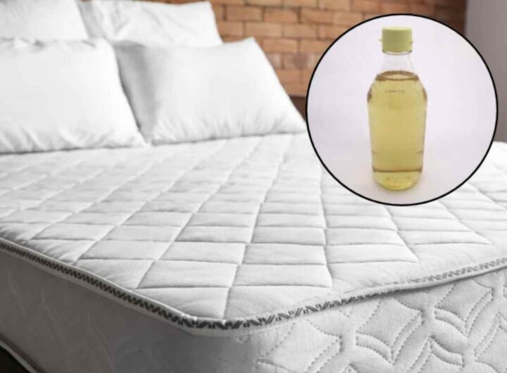 L’aceto è un prodotto di origine naturale noto sin dall’antichità, nato quasi per caso dalla fermentazione prolungata del vino che si trasforma