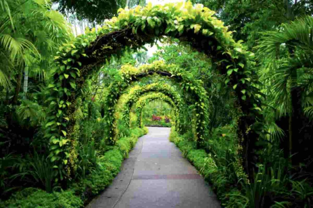 Oltre a Padova e Torino, l’Italia può vantare numerosi altri giardini botanici di grande interesse, distribuiti in tutto il territorio nazionale.