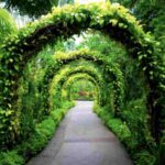 Oltre a Padova e Torino, l’Italia può vantare numerosi altri giardini botanici di grande interesse, distribuiti in tutto il territorio nazionale.