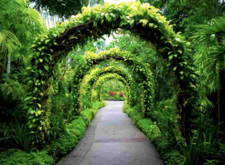 Oltre a Padova e Torino, l’Italia può vantare numerosi altri giardini botanici di grande interesse, distribuiti in tutto il territorio nazionale.