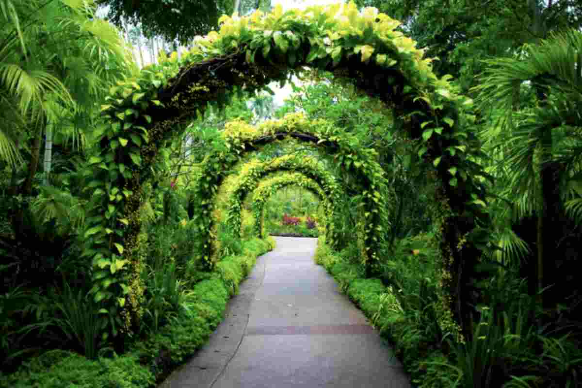 Alla scoperta degli orti botanici più belli e unici della penisola: oasi meravigliose