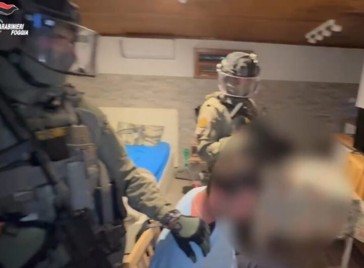 arresto leonardo gesualdo