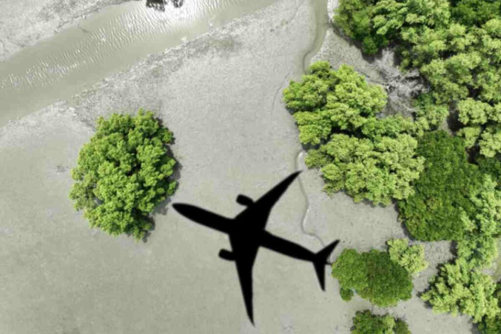 Secondo le ultime analisi di mercato, oltre il 90% dei consumatori ricerca attivamente soluzioni di viaggio eco-compatibili