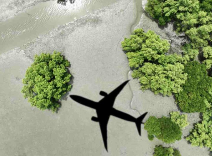 Secondo le ultime analisi di mercato, oltre il 90% dei consumatori ricerca attivamente soluzioni di viaggio eco-compatibili