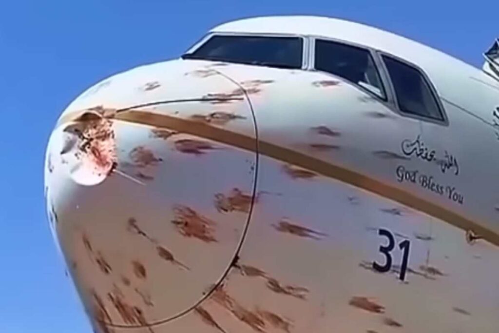 Aereo investito da uno stormo di uccelli