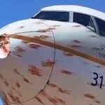 Aereo investito da uno stormo di uccelli