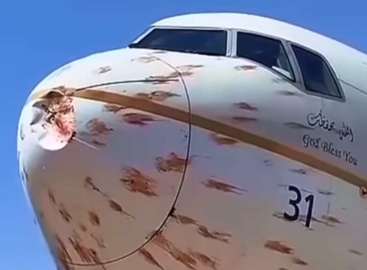 Aereo investito da uno stormo di uccelli