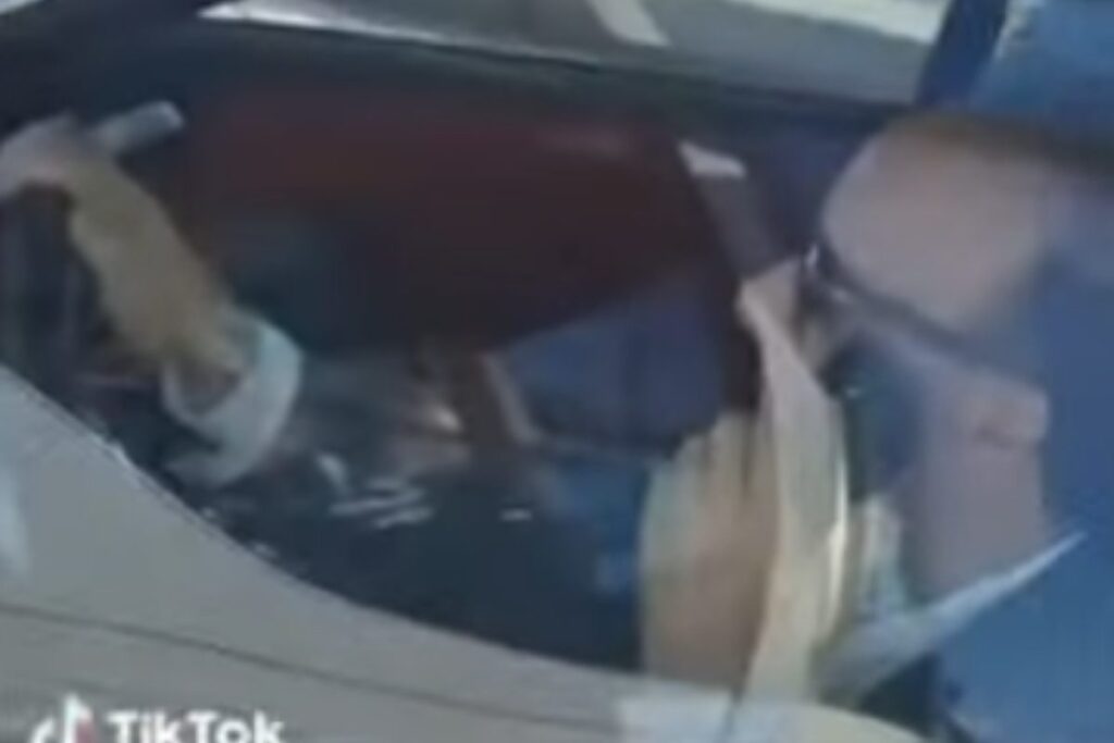 benigni cellulare alla guida