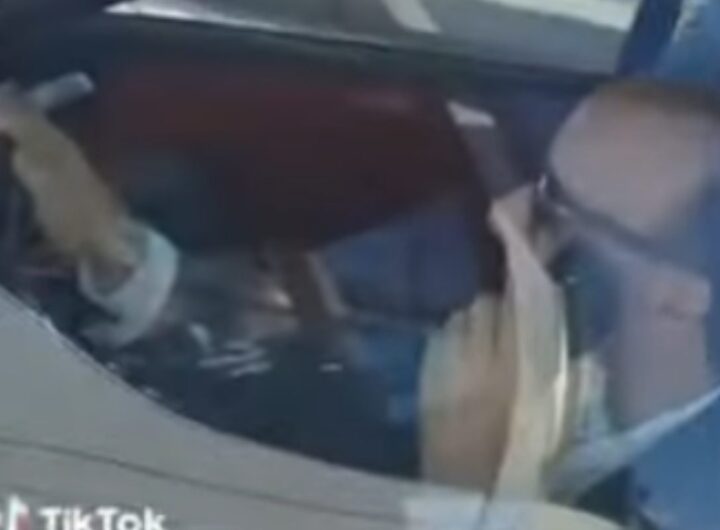 benigni cellulare alla guida