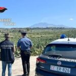 Una volante dei carabinieri