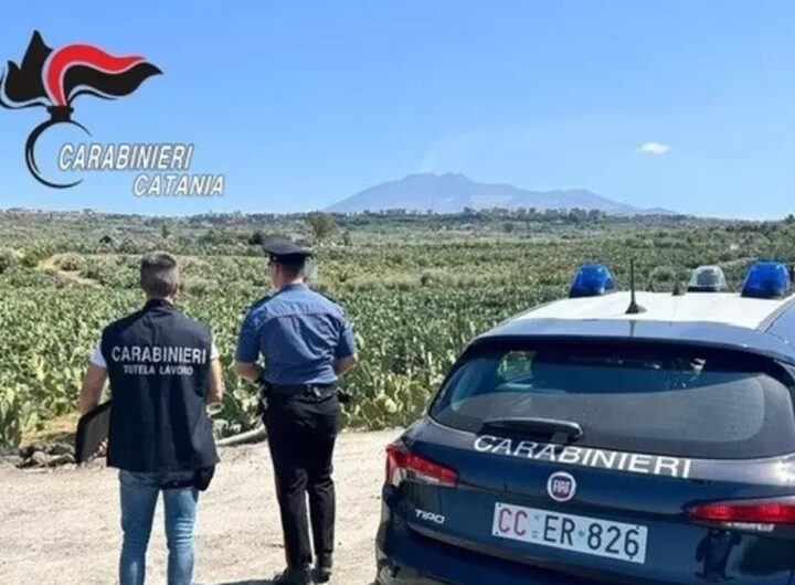 Una volante dei carabinieri