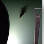 coccodrilli pescatore