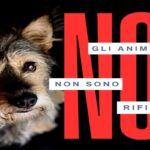 Gli animali non sono rifiuti