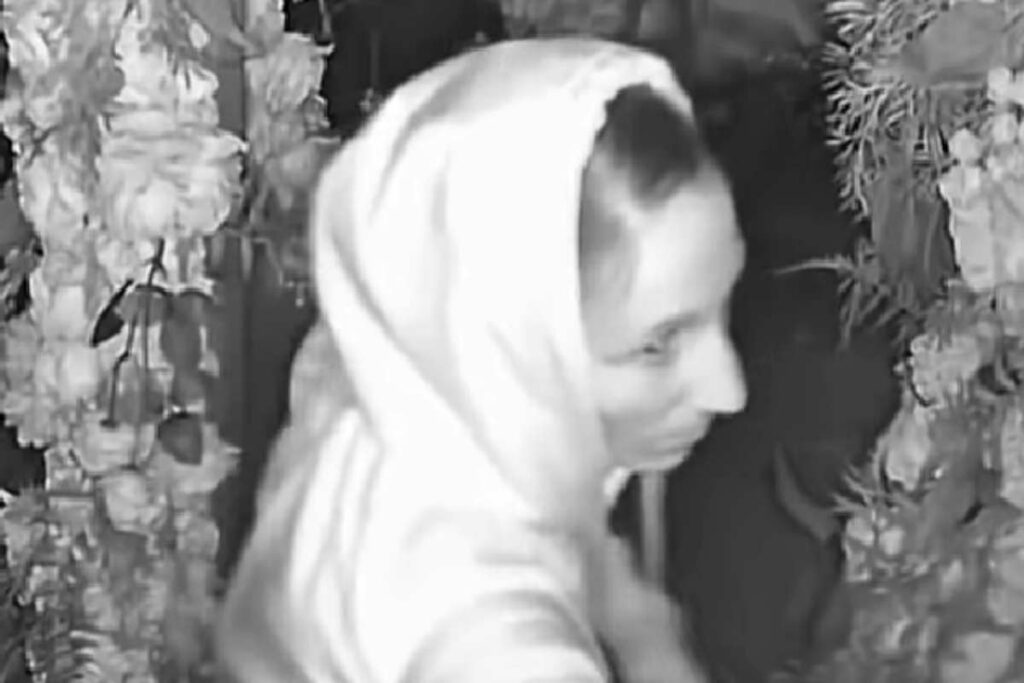 La coppia che fa sesso al ristorante e poi ruba soldi e alcolici