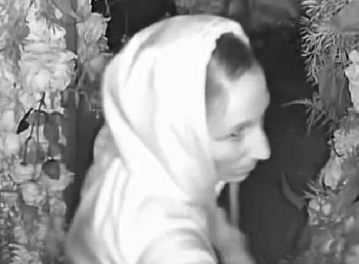 La coppia che fa sesso al ristorante e poi ruba soldi e alcolici