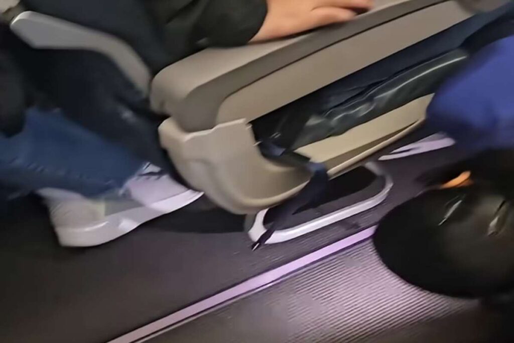 Alla ricerca di un criceto scappato sull'aereo