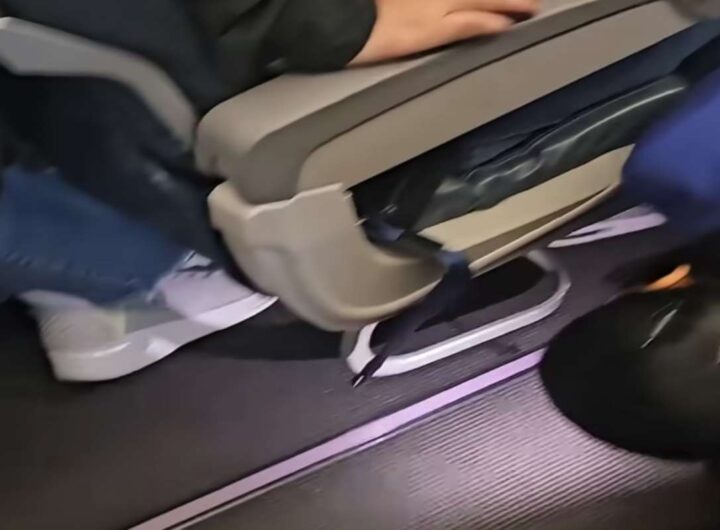 Alla ricerca di un criceto scappato sull'aereo